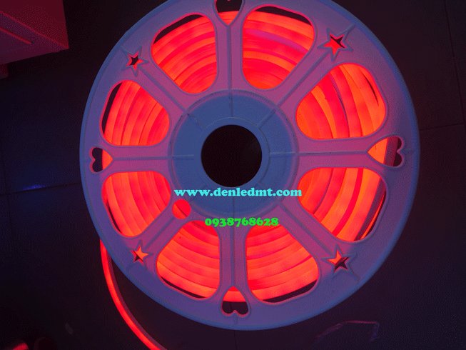 LED DÂY NEON 12V