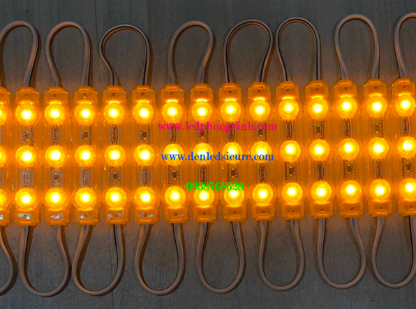 MODULE 3 BÓNG LÚP VÀNG CHÙA 6213