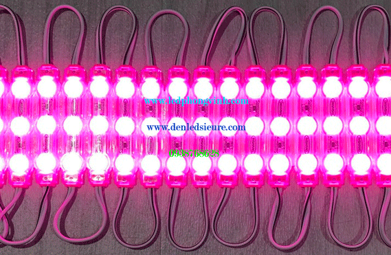 MODULE 3 BÓNG LÚP HỒNG 6213