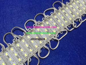 LED MODULE 3 BÓNG 5730 TRẮNG/VÀNG /ĐỎ/X.LÁ/X.DƯƠNG