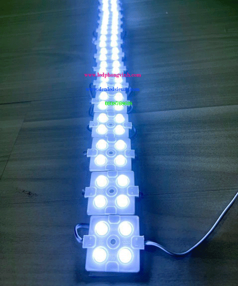 MODULE 4 BÓNG LÚP TRẮNG