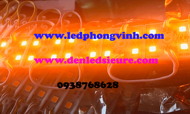 LED MODULE 4 BÓNG VÀNG CAM//VÀNG CHÙA